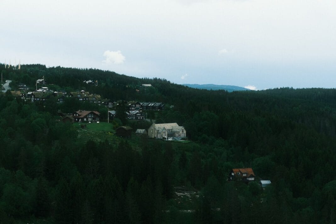 Photo by ELISA KERSCHBAUMER on Unsplash